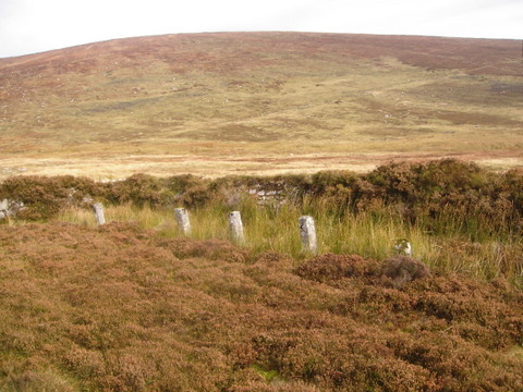 Staddle stones.JPG